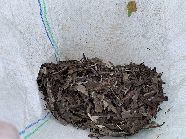 船橋市習志野台O様邸|屋根塗装・外壁塗装・雨樋交換工事 (6)